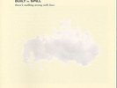 There's Nothing Wrong With Love [VINYL] Built to Spill Vinyl