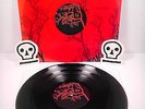 Jakob *Solace* New RED/BLACK Vinyl LPs Graveface Rare@500 Rock Post Rare Decals
