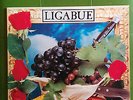 LIGABUE - LAMBRUSCO COLTELLI ROSE & POP CORN LP + INSERTO ORIG.