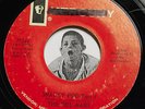 Mad Mike Garage Rocker 45 The Del-Mars Snacky Poo Part 1 & 2 Mercury