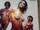 Blood Guts & Pussy [LP] The Dwarves Sub Pop sp67 original grey vinyl