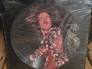 Led Zeppelin album picture disc