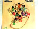 Sound Experience: Don't Fight the Feeling  [Unplayed Copy]