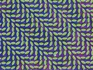 ANIMAL COLLECTIVE**MERRIWEATHER POST PAVILION**2VINYL