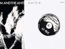 Adam And The Ants 7