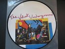 ANDY WARHOL COVER-VELVET UNDERGROUND-PICTURE DISC-MORE BERMUDA THAN PIZZA-TOP