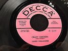Ohio Rockabilly 45  James Gallagher  Decca  Crazy Chicken  HEAR **