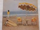 Neil Young On The Beach LP Vinyl Wallpaper Inner Original 1974 Revolution Blues
