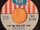 The Great Society USA 856  Garage Fuzz 45 I'm The One For You DJ Promo