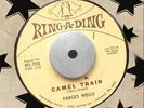 Fargo Wells - Camel Train / Troika Trot RARE EXOTICA NOVELTY WEIRD CRAZY Hear