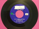 45 rpm 1955 Doo Wop  THE DANDERLIERS  