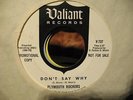 THE PLYMOUTH ROCKERS GARAGE 45 ON WLP VALIANT 737 DON'T SAY WHY LISTEN