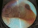 Pink Floyd Meddle Picture Disc