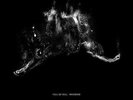 Merzbow - Split [Analog] Full of Hell LP Record