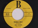 rare Soul R&B 45 WILEE MCEWEN tremble walk S.T.Y.B. Listen