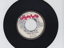 UPSETTER/WHEN JAH COME  -  DEVON IRONS  (76  REGGAE ROOTS 7