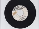 WIRL RECORDS/TRAIN TO SKAVILLE  -  THE ETHIOPIANS  (67 SKA 7