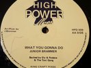 Junior Brammer What You Gonna Do Killer Digi 12