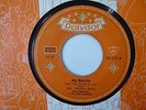 MY BONNIE - THE BEATLES GERMAN 