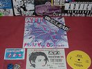 ? AFI Fly In The Ointment 20th Anniversary 3-D color vinyl #75/100 WEDGE RECORDS