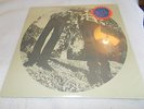 TY SEGALL AND WHITE FENCE HAIR VINYL LP NEW /SEALED COPY