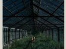 Foxing Dealer Black 180 G Sold Out Oop Tigers Jaw Modern Baseball