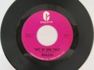 The Fabulous Wailers(Tacoma)45