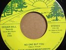 BLUEGRASS MOUNTAINEERS - No One But You | RARE hillbilly bopper 45 HEAR