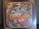 Panic At the Disco Pretty Odd Album on Vinyl