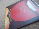 GENTLE GIANT AQUIRING THE TASTE UK 71 VERTIGO PRESS PROG SUPERB NM SLEEVE LISTEN