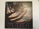 Original 1972 Rare Bird-Epic Forest-1st Press&PosterMint