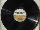 CONCRETE DUB - [Concrete Jungle] LP