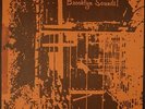 Brooklyn Sounds S/T on SALSA LP VG+/VG+