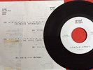 MADONNA -Express Yourself- Rare Japanese Test Pressing 7
