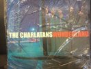 The Charlatans 