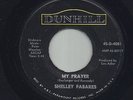 NORTHERN 45   SHELLEY FABARES  