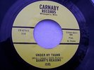60s MINNESOTA GARAGE--DANNY'S REASONS--UNDER MY THUMB / TRIANGLES--CARNABY 101
