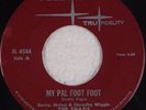 THE SHAGS (Shaggs): My Pal Foot Foot FLEETWOOD Garage PSCYH 45 ORIG hear