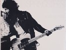 BRUCE SPRINGSTEEN: Born to Run AUDIOPHILE Half Speed Columbia VINYL LP NM-