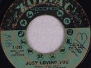 RUBY ANDREWS: Just Loving You ZODIAC Northern Soul Monster 45 HEAR IT