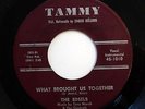 EDSELS 45 What brought us together / Don't know what to do TAMMY Doowop e2060