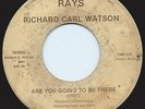 Rare Modern Soul 45 Richard Carl Watson 'Are You Going To Be There' Rays Hear