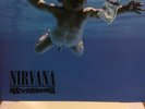 NIRVANA Nevermind NEW WHITE COLORED VINYL LP IMPORT