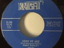 Jimmy Ridley & The Themadones 1960's Here We Are RARE Ft.Wayne,IN.Garage Soul NM