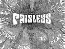 THE PAISLEYS COSMIC MIND AT PLAY  MIDWEST 60s PSYCH  SUNDAZED LP