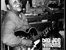 Big Joe Williams Tough Times NEAR MINT Arhoolie Vinyl LP