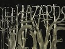 The Decemberists - The Hazards Of Love Vinyl LP Rough Trade/Beggars Group NEW