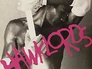 HAWKLORDS-25 YEARS ON -DELUXE/LTD--VINYL LP (2) LET THEM EAT VINYL NEU