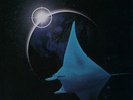 Mike Oldfield - The Songs Of Distant Earth Vinyl LP Wmi NEW