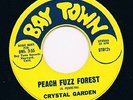 CRYSTAL GARDEN peach fuzz forest / flash HEAR MINT 60s GARAGE beat MOD psych